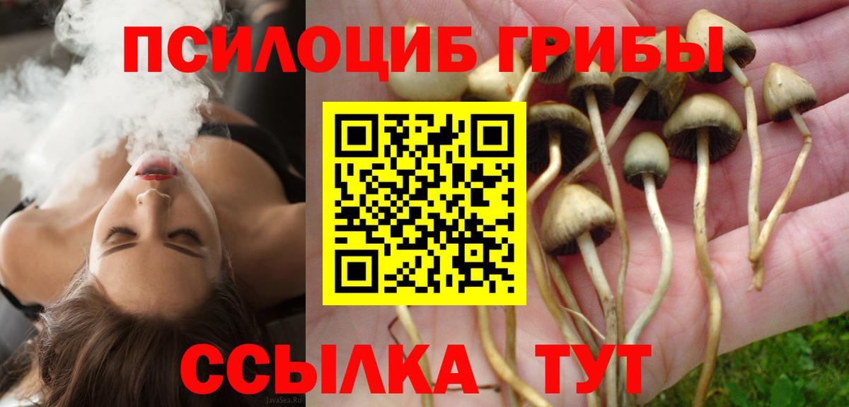 Псилоцибиновые грибы ЛСД Жигулёвск