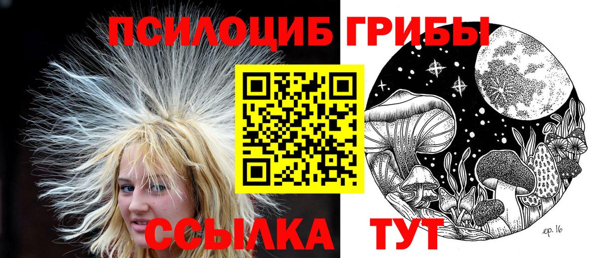 Жигулёвск  Галлюциногенные грибы MAGIC MUSHROOMS  Вход с VPN 